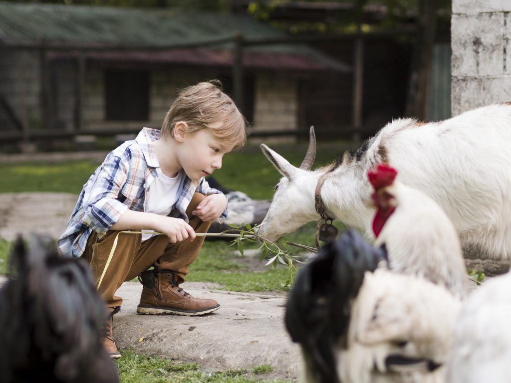 Enfant ferme pédagogique