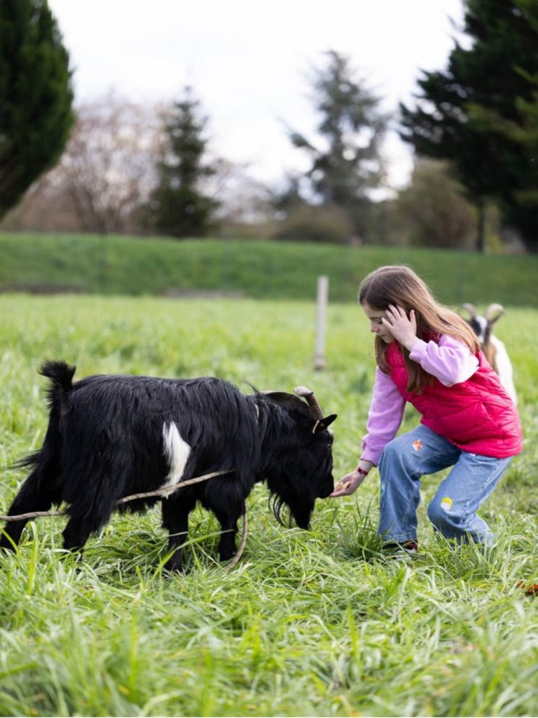 Centre scolaire Arche de Taissy